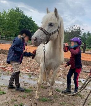 Pony 13 let, 118 KVH