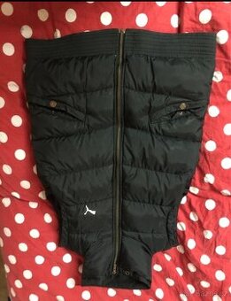 Puma vesta