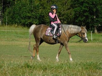 pony klisna
