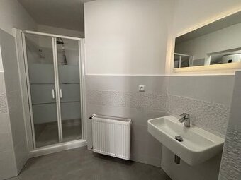 Byt 1+1 51m² Husitská, KRUPKA