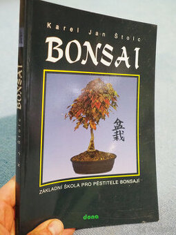 Bonsai - 1