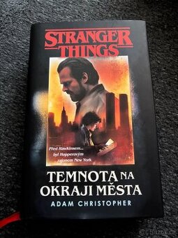 Stranger Things Temnota na okraji města