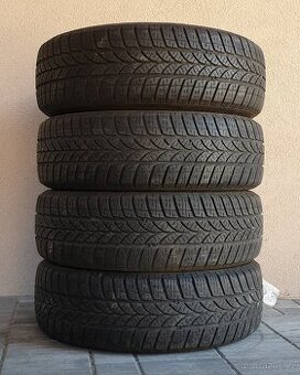Zimní pneumatiky Riken 195/65 R15 č. AP67