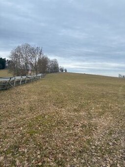 prodám pole,louky,les