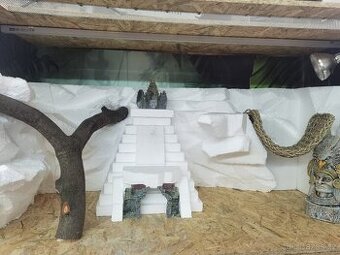 3x Agama vousatá, 3x terárium, 3x box s Blaptica dubia - 1