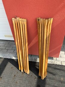 Jasanové špricle na ribstole