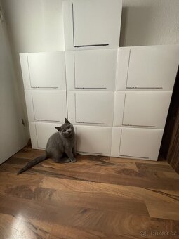 MacBook Air 13,6" M4 – nové kusy z iWantu, všechny barvy 🎨