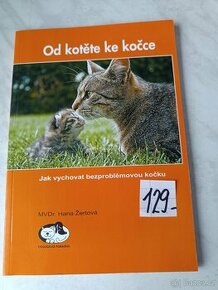 Kočky koťata a další zvířata