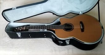 Predam el.ak. gitaru Dowina Sauvignon JC + kufor.