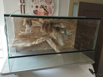Terárium pro agamu