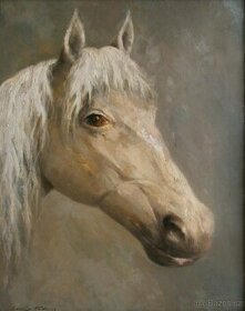 Karel Hodr - Portrét koně