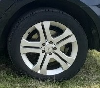 Alu kola r19