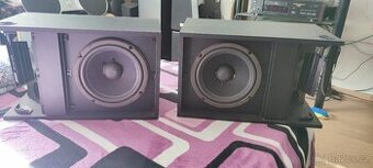 BOSE 301