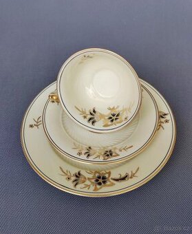 Krásná porcelánová čajová sada od Schumann (1918-1929)
