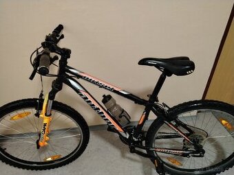 Author outset 15'' junior