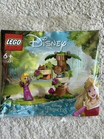 LEGO Disney Princess 30671 ŠÍPKOVÁ RŮŽENKA A LESNÍ HŘIŠTĚ