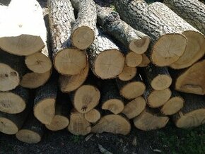 Dřevo na Topení