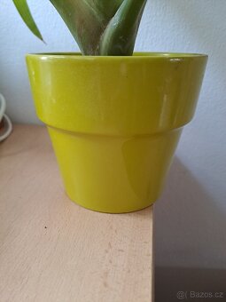Keramické obaly na květináč