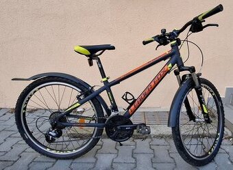 Leader Fox Spider chlapecké 24"
