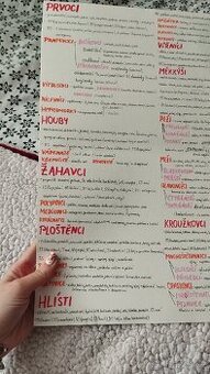 Biologie maturitní otázky živočišné říše - 1