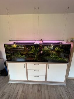 Akvarijní set - 1