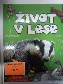 Život v lese