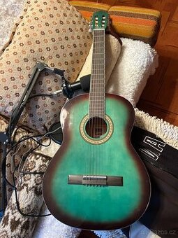 kytara s mikrofonem