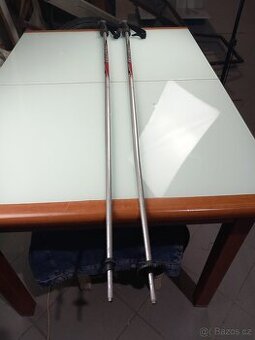 Lyžařské hole značky Blizzard