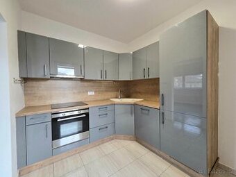 Pronájem bytu 2+1/L, Svémyslice - 1