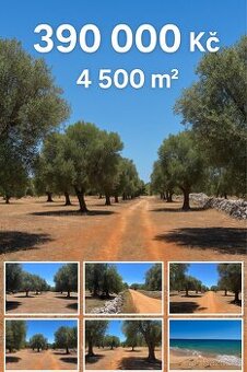 Pozemek 7km od moře Apulie (PRODÁNO)