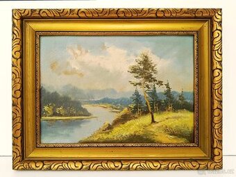 Obraz Vítězslav Fleissig, Sosna u Vltavy, olej 34x44