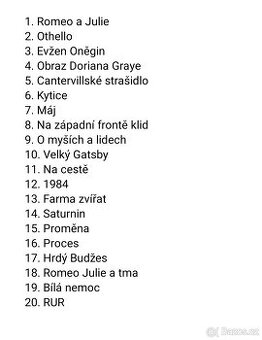 Vypracované maturitní otázky z českého jazyka
