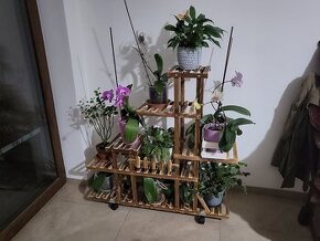 Veliký víceúrovňový pojízdný stojan na květiny