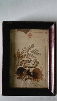 Svatý obrázek z betléma