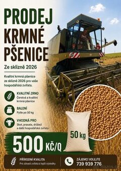Pšenice