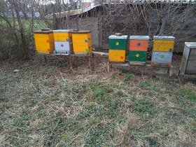 Včelí oddělky a včelstva rámková míra 39x27, 5