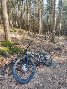 Trek roscoe 9