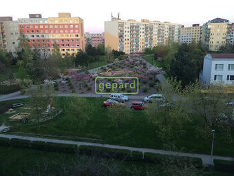 Pronájem 3kk Generála Janouška