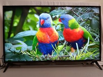 49UJ6307,123cm,Ultra HD 4K,DVB-T2,Smart+Wifi - 1