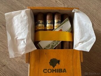 Cohiba Robustos 25 ks