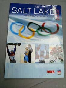 Kniha Salt lake 2002
