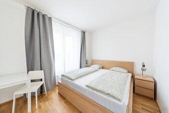 Кімната з пропискою для пари або 2 дівчат — Vysočany