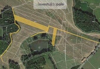 Prodej pole 9 268 m², Chanovice - Újezd u Chanovic
