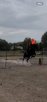 Valach