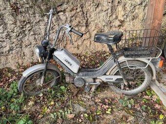 Jawa babeta