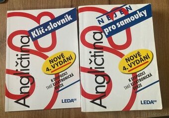 Angličtina nejen pro samouky