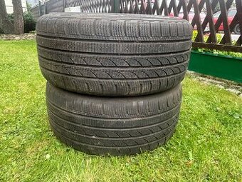 Zimní pneu Tracmax Ice-Plus S210 - 1