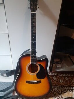 Akusticka kytara na vymenu