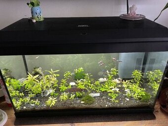 Prodám akvárium JUWEL 60 l – kompletní set