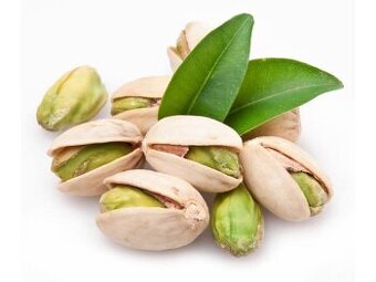 Pistácie roubované stromky